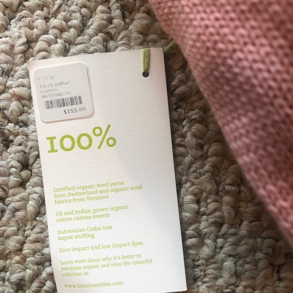 Looolo 18X18 Janthur Watermelon Cushion With Ruffles.  SALE! - Picture 3 of 3